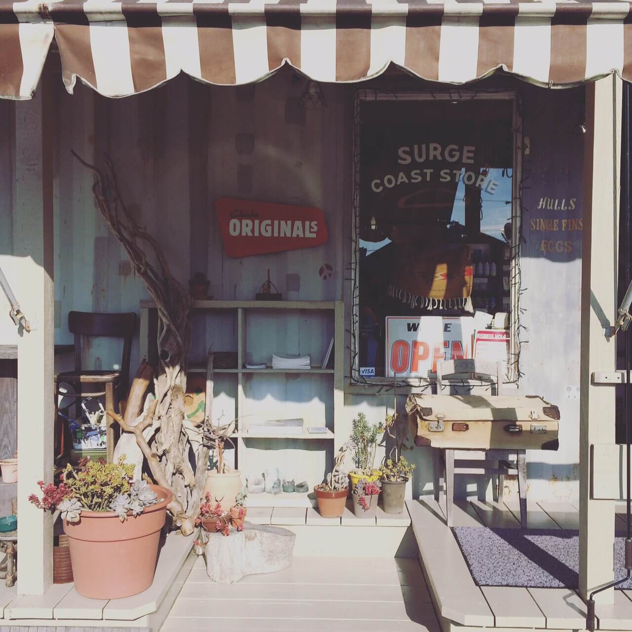 SURGE COAST STORE